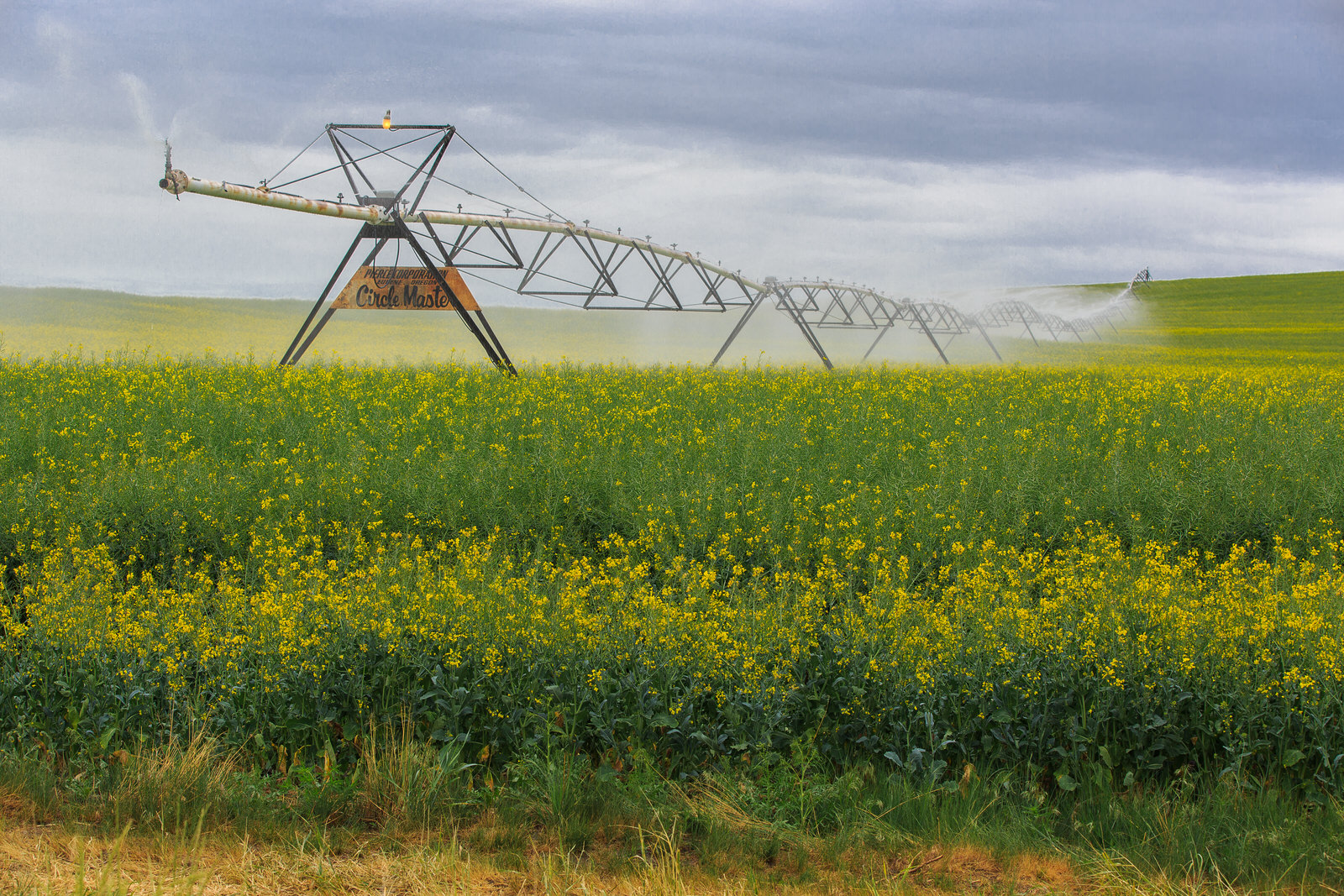  Circle Master crop irrigation over the canola fields 