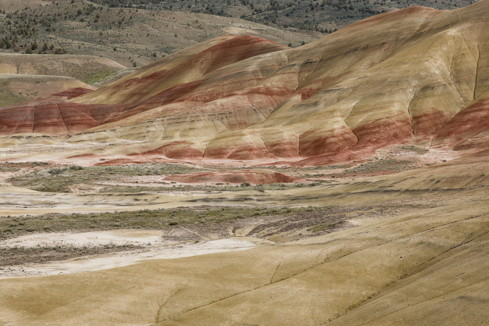  Gold and Red Soil in the Painted Hills 