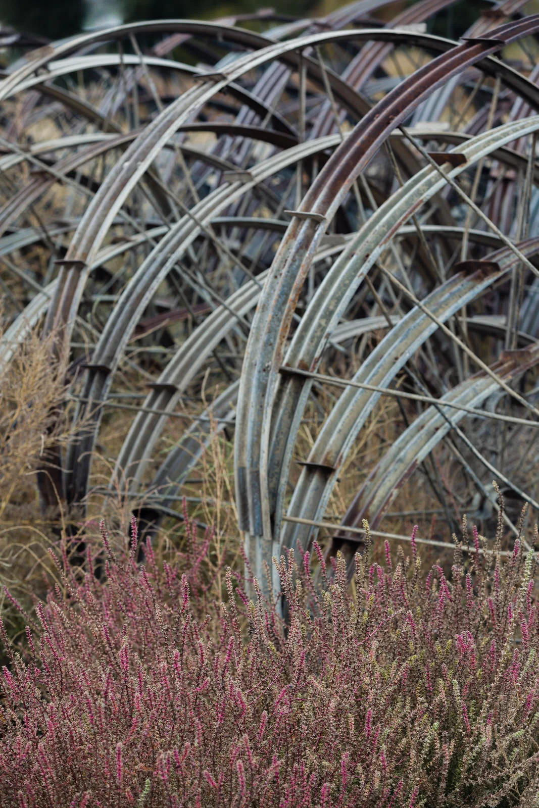 Stacks of irrigation wheels stored for the season