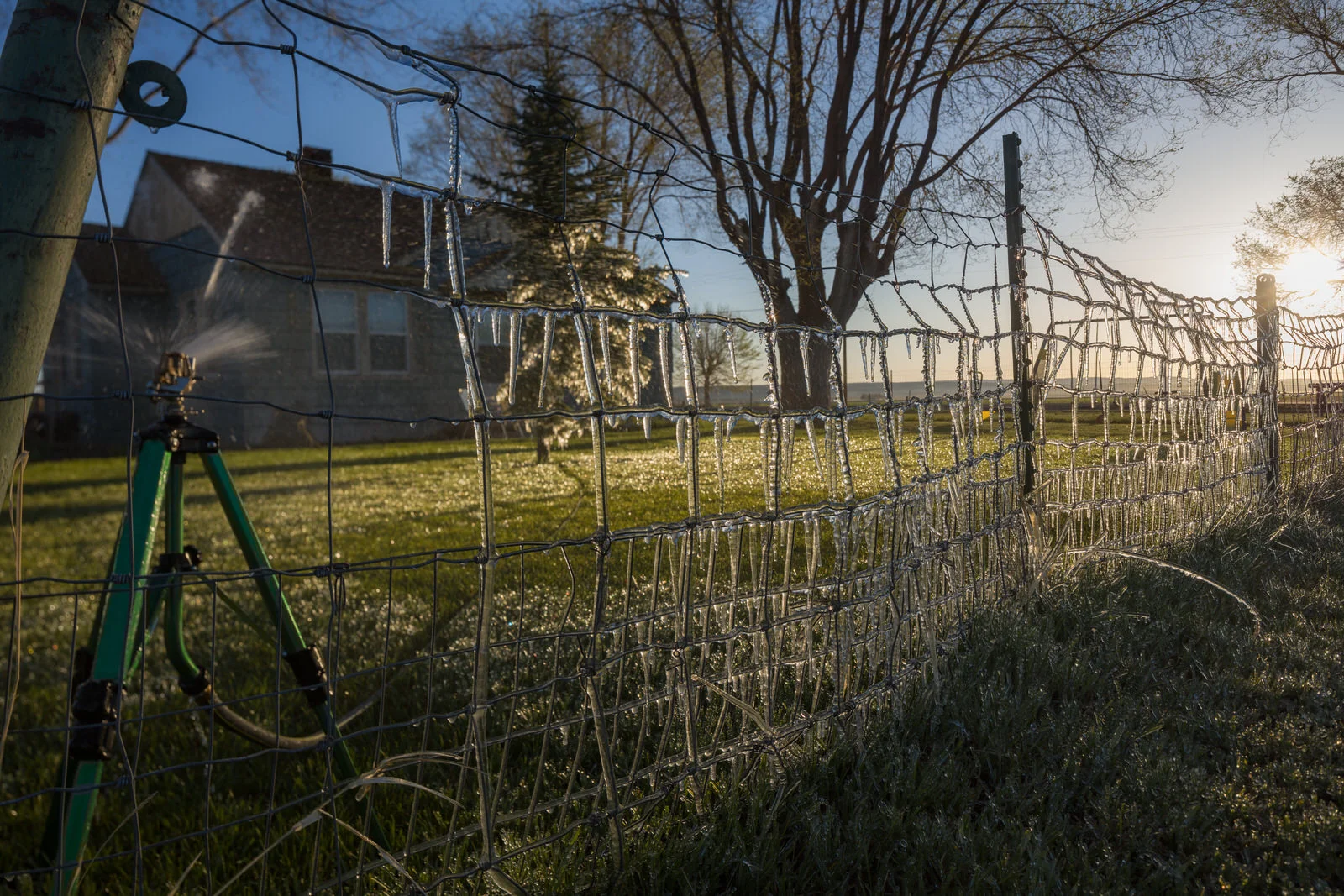 Icicles along the fence line in Central Oregon