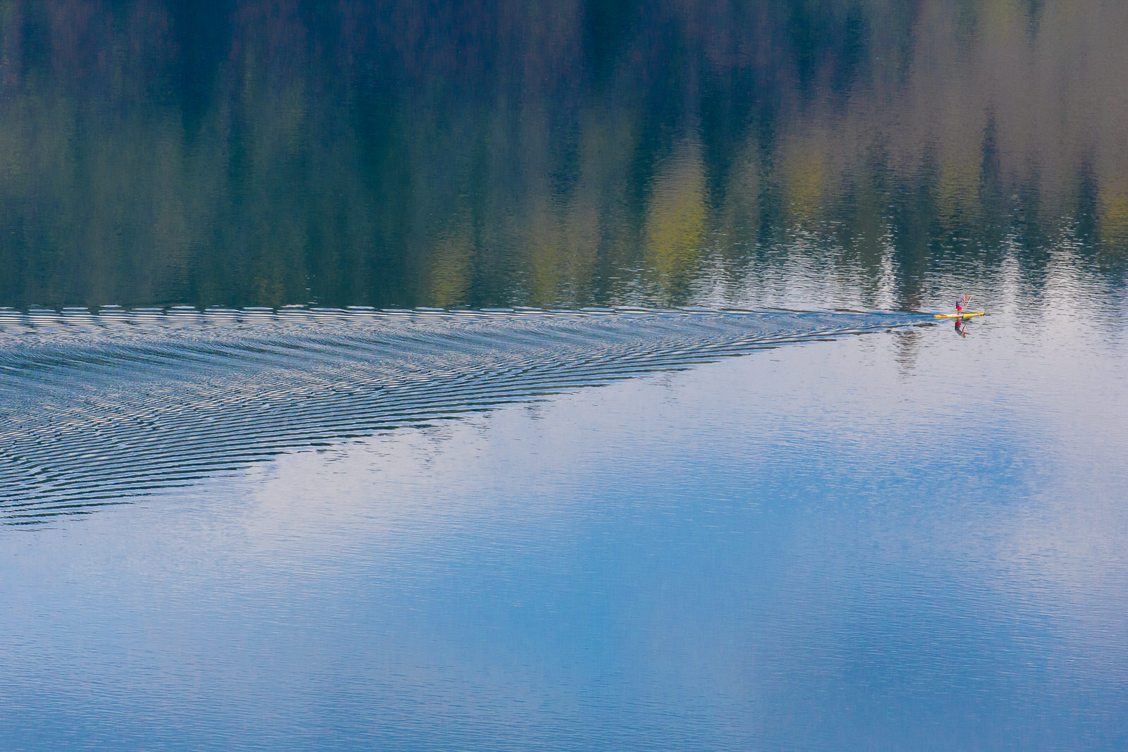  Ripples and reflections behind a stand-up paddle boarder 