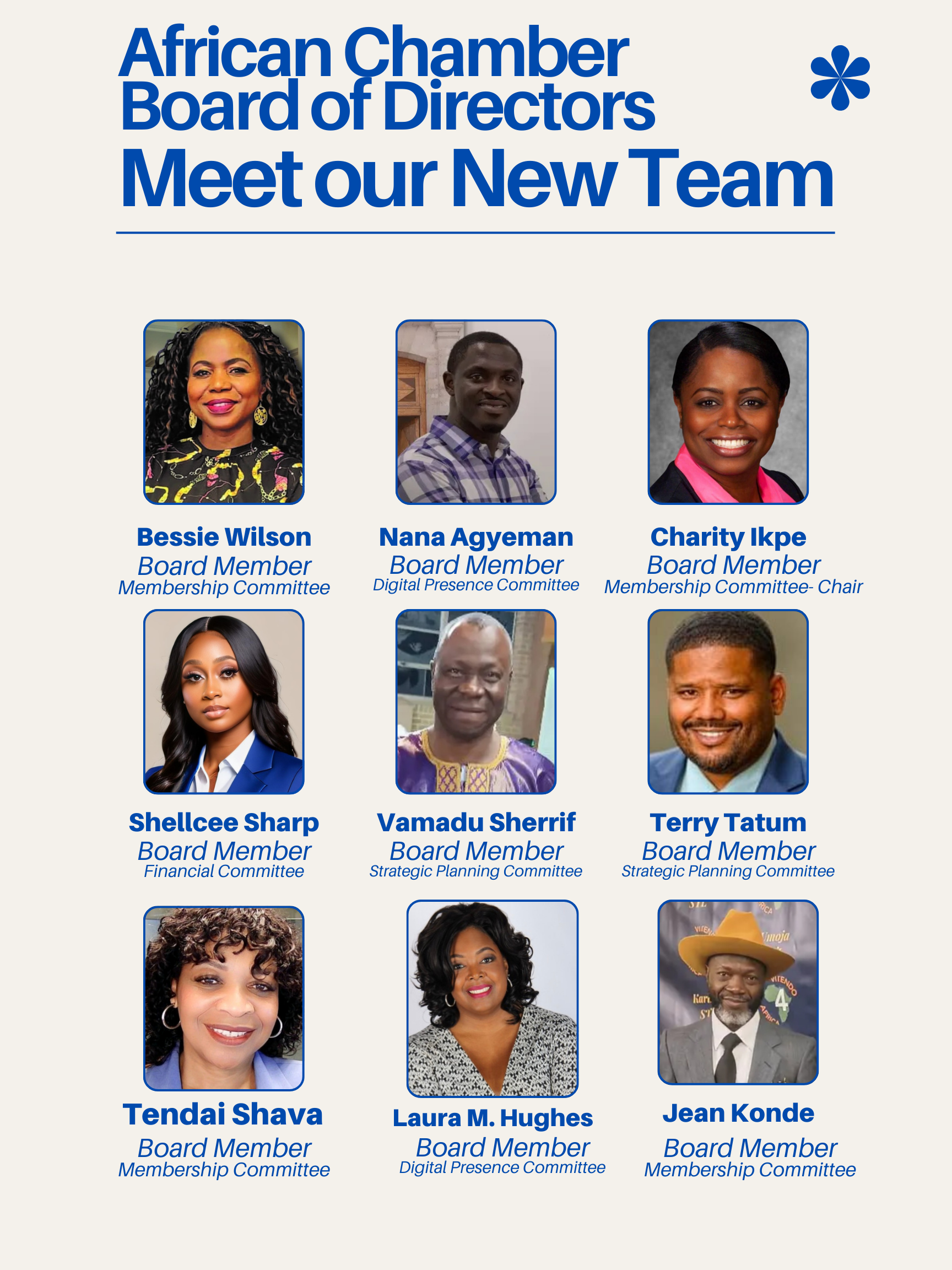 ACCSTL Team Members Poster.png