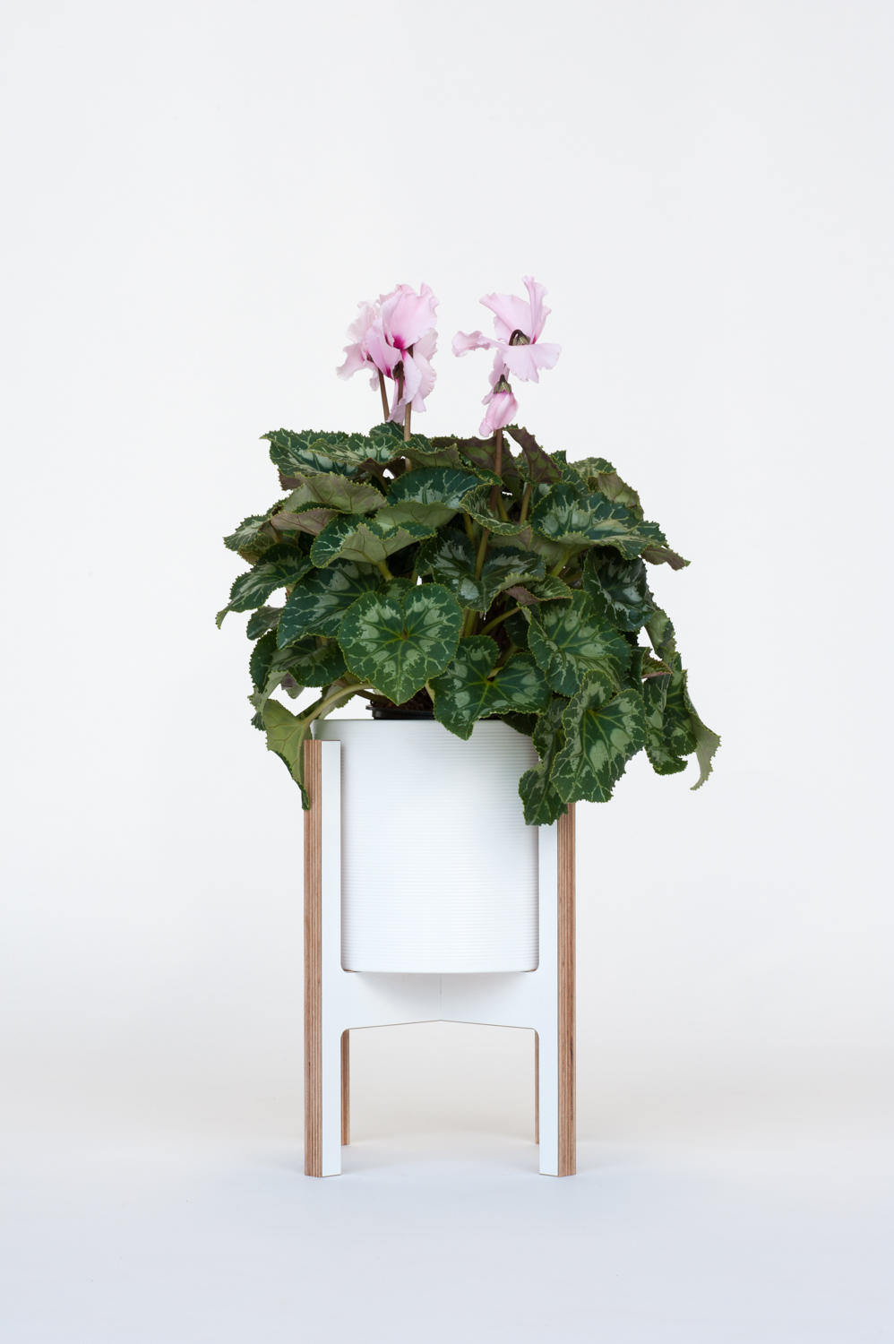 F.210 Plant Stand - Medium