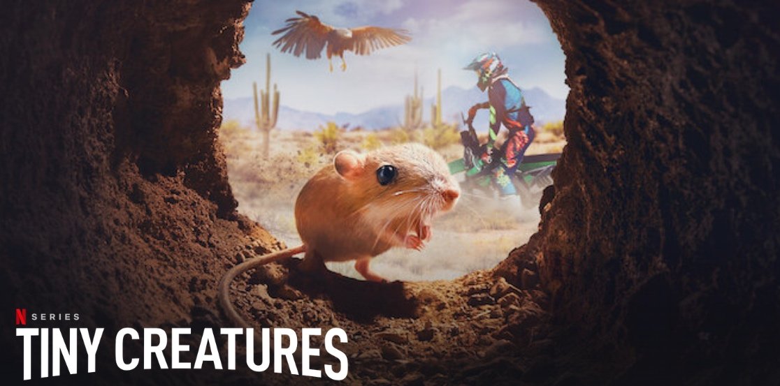 Tiny Creatures | Official Trailer | Netflix