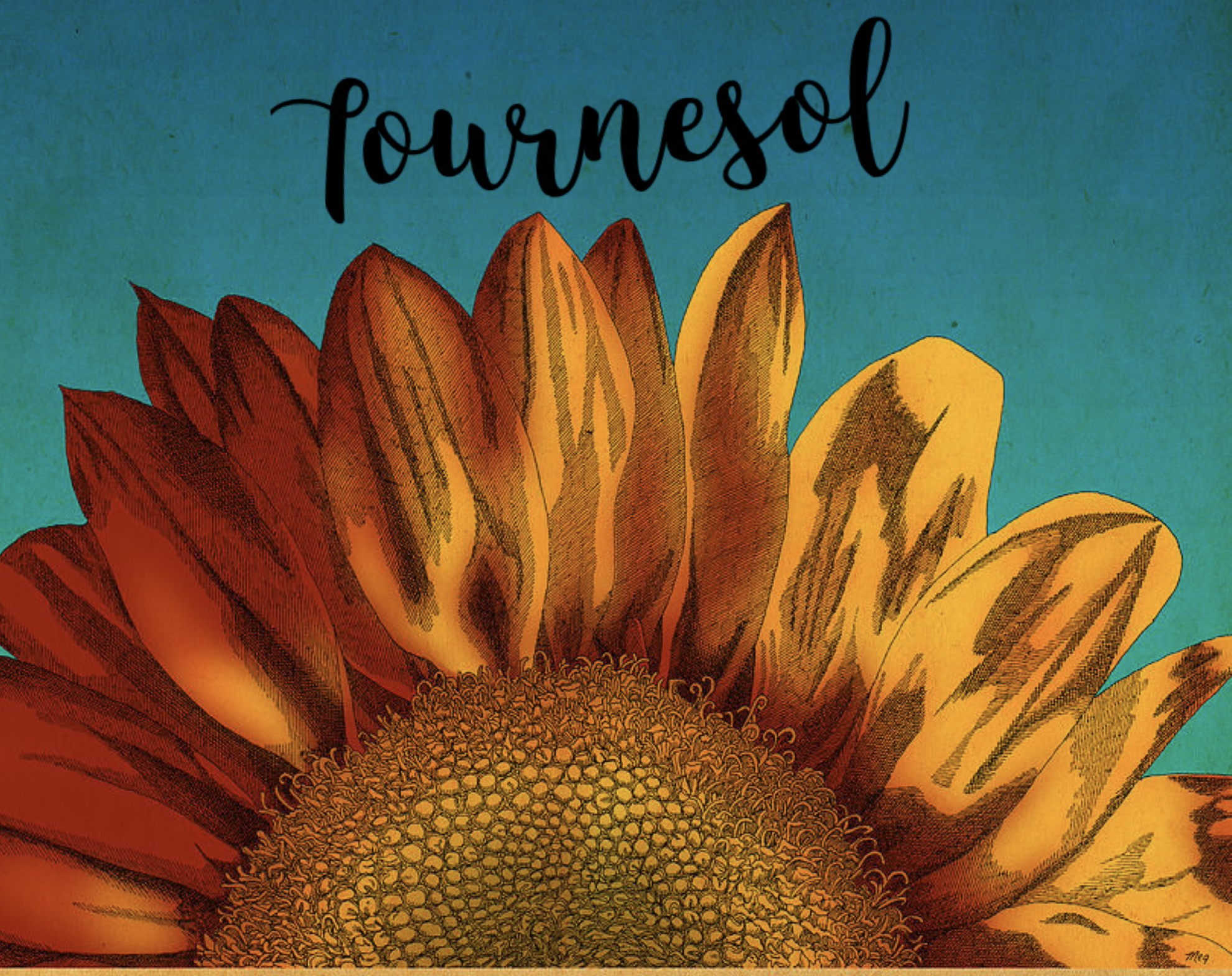 Tournesol 