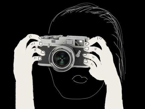 photography-gifs.gif
