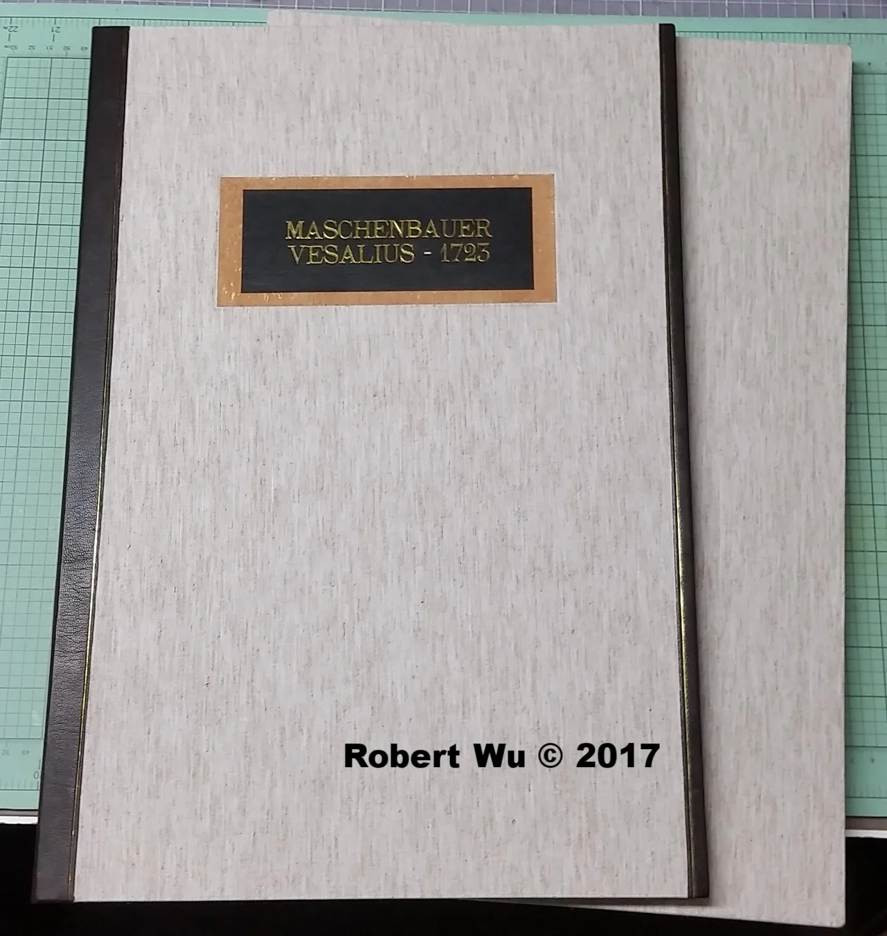 20170529_160244.jpg