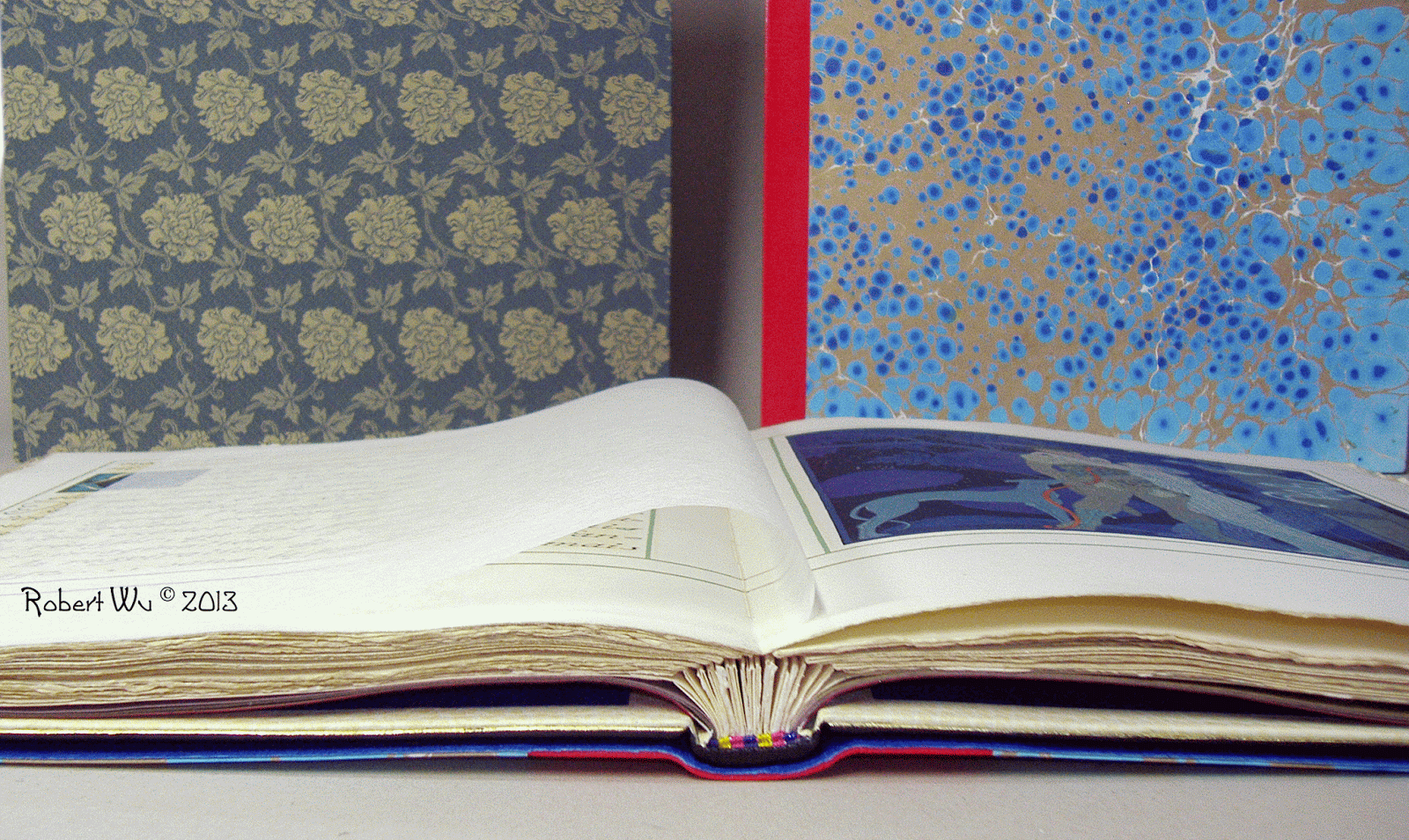 P1010198.gif