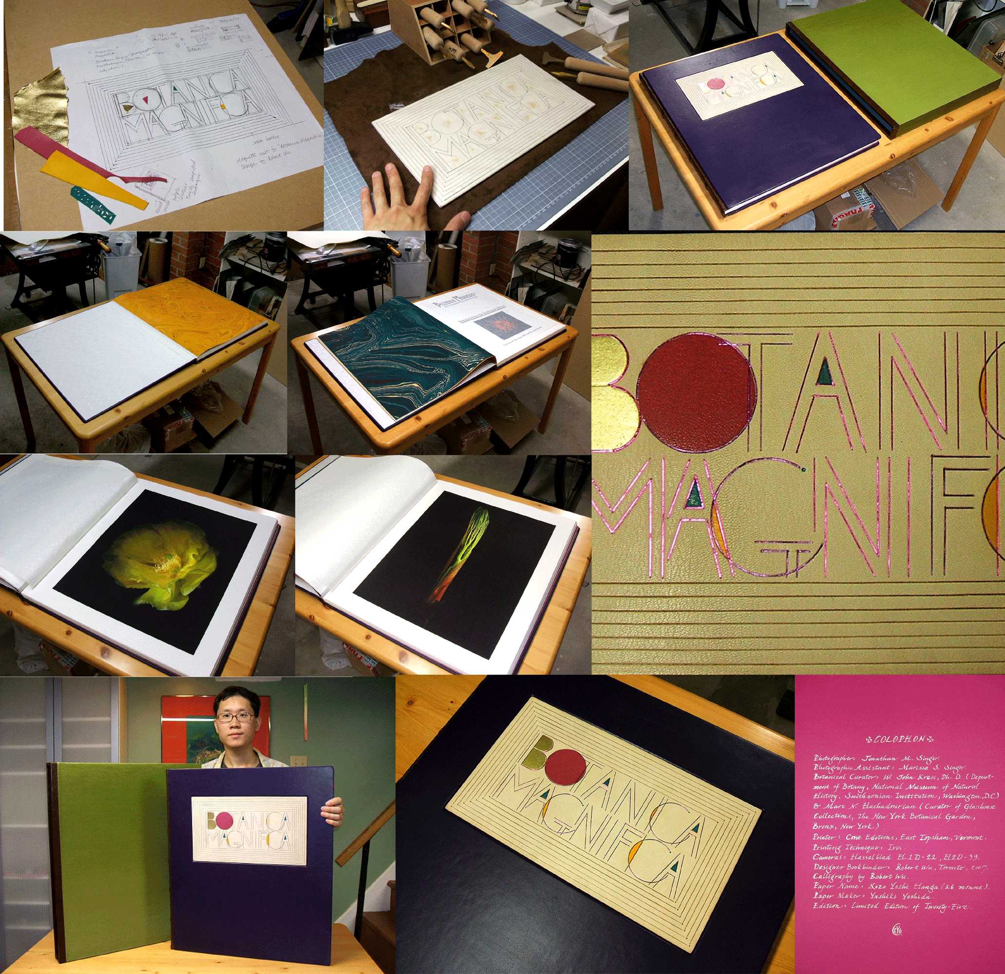 collage-for-web.gif