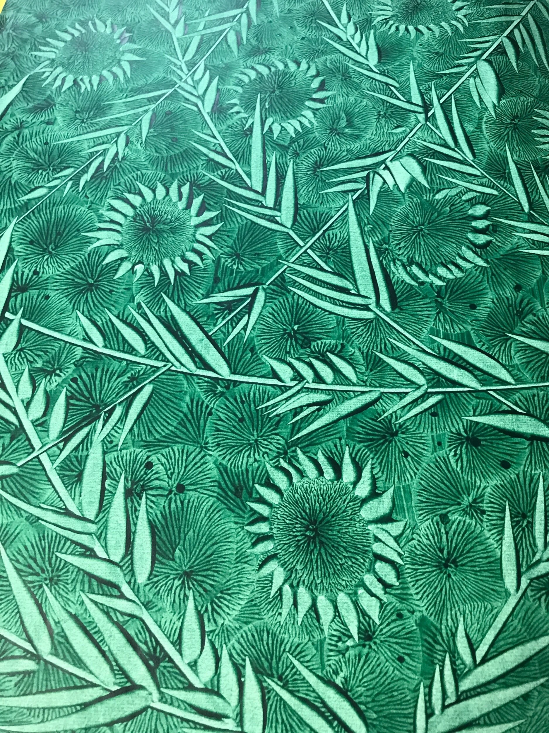 EB89DEE4-1D0B-4CCD-A887-D3060AD38239