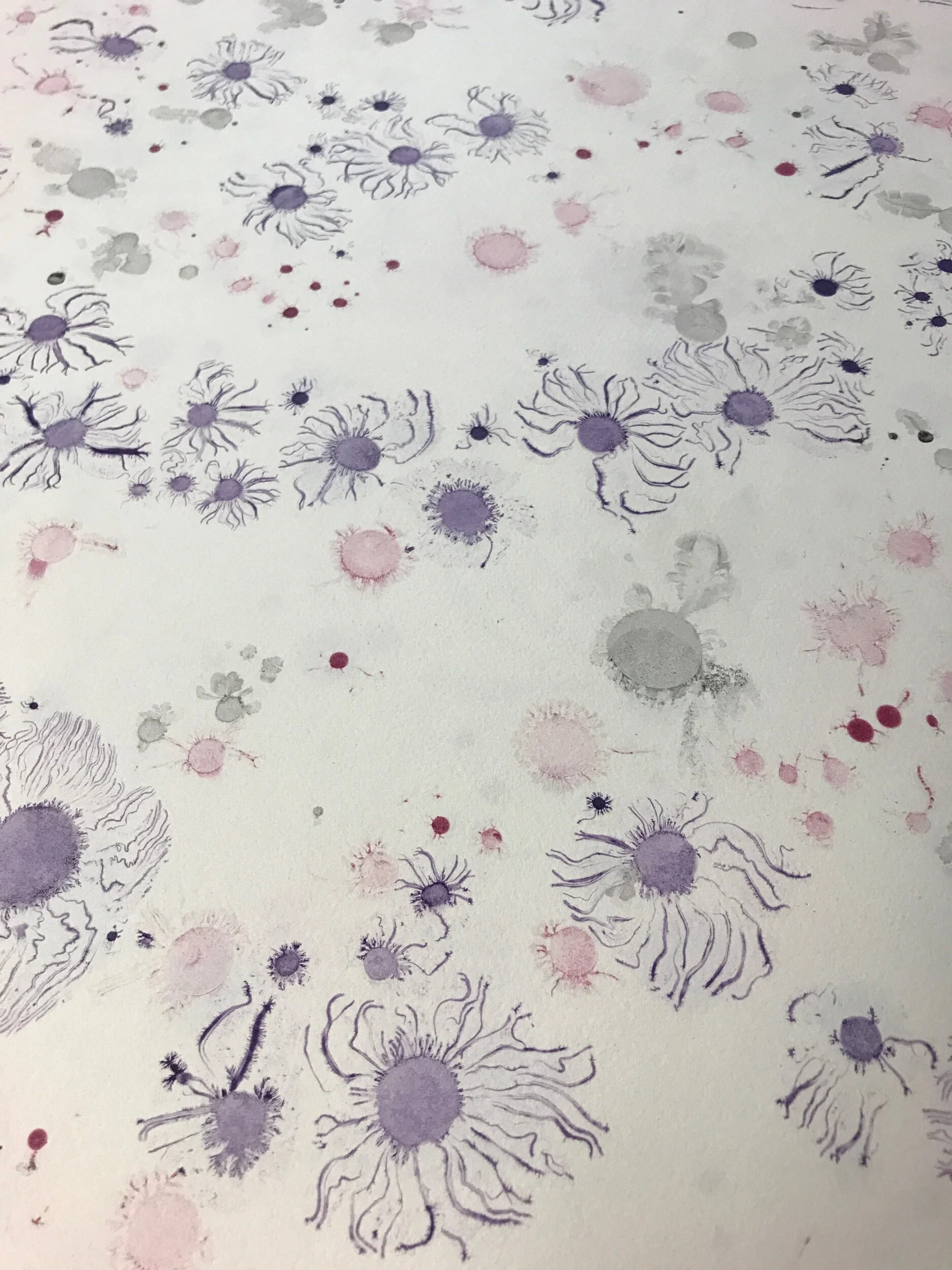 295F07E9-879B-4098-8ABB-68E7CDAE73C1