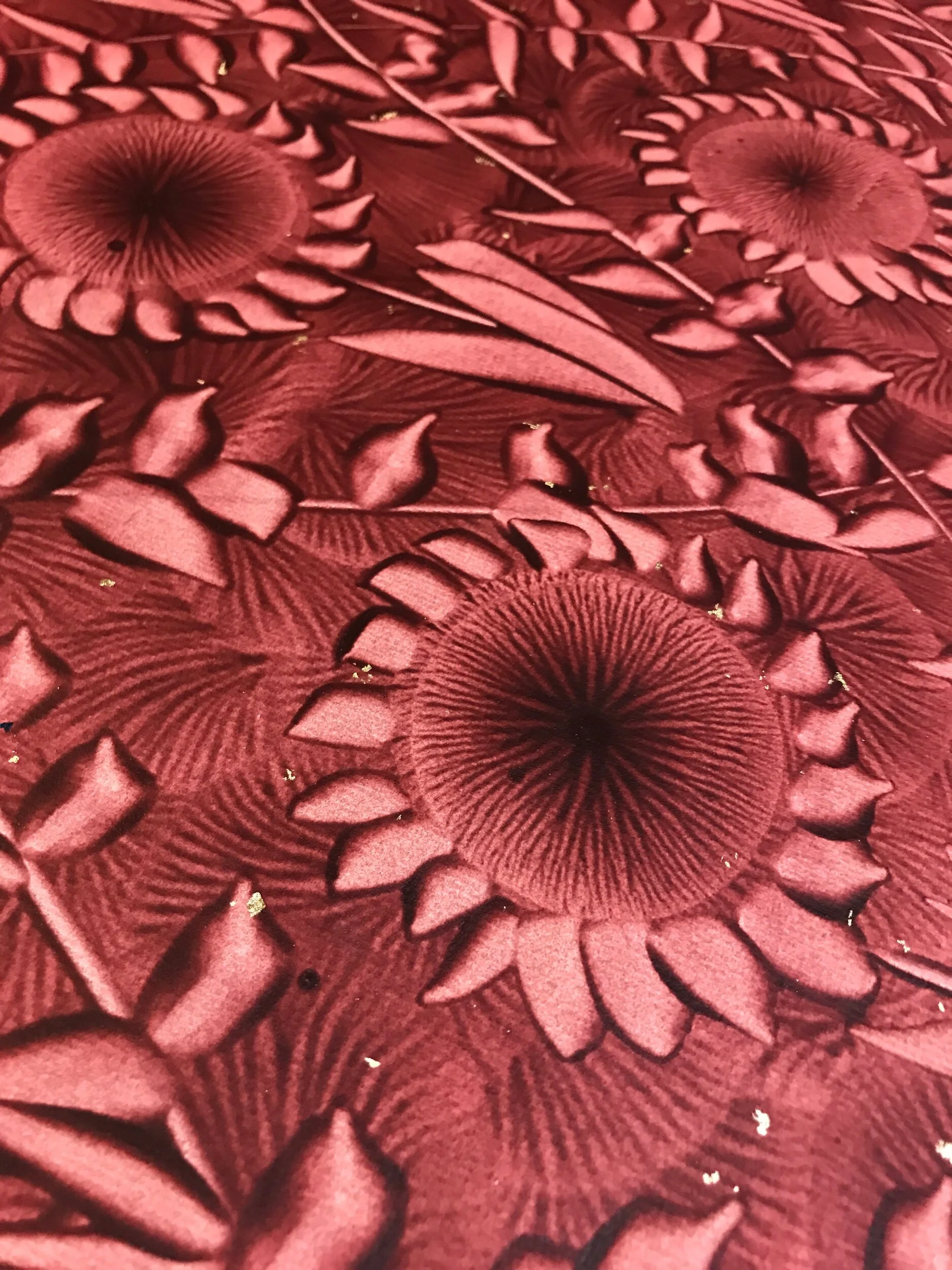 92C98800-1E23-421C-9F52-E8B3D630AFEE