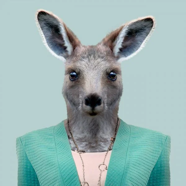 Amy Dalebroux Treasurer The following is placeholder text known as “lorem ipsum,” which is scrambled Latin used by designers to mimic real copy. Quisque congue porttitor ullamcorper. Aenean eu justo sed elit dignissim aliquam.