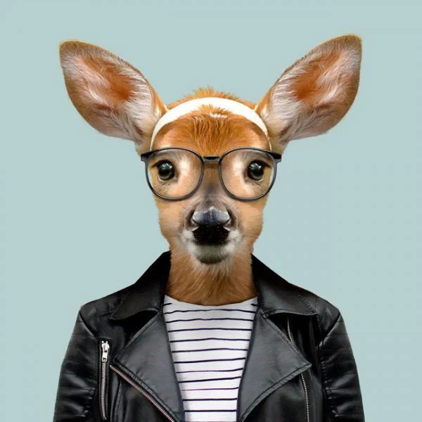 Reagan Bradford The following is placeholder text known as “lorem ipsum,” which is scrambled Latin used by designers to mimic real copy. Quisque congue porttitor ullamcorper. Aenean eu justo sed elit dignissim aliquam.