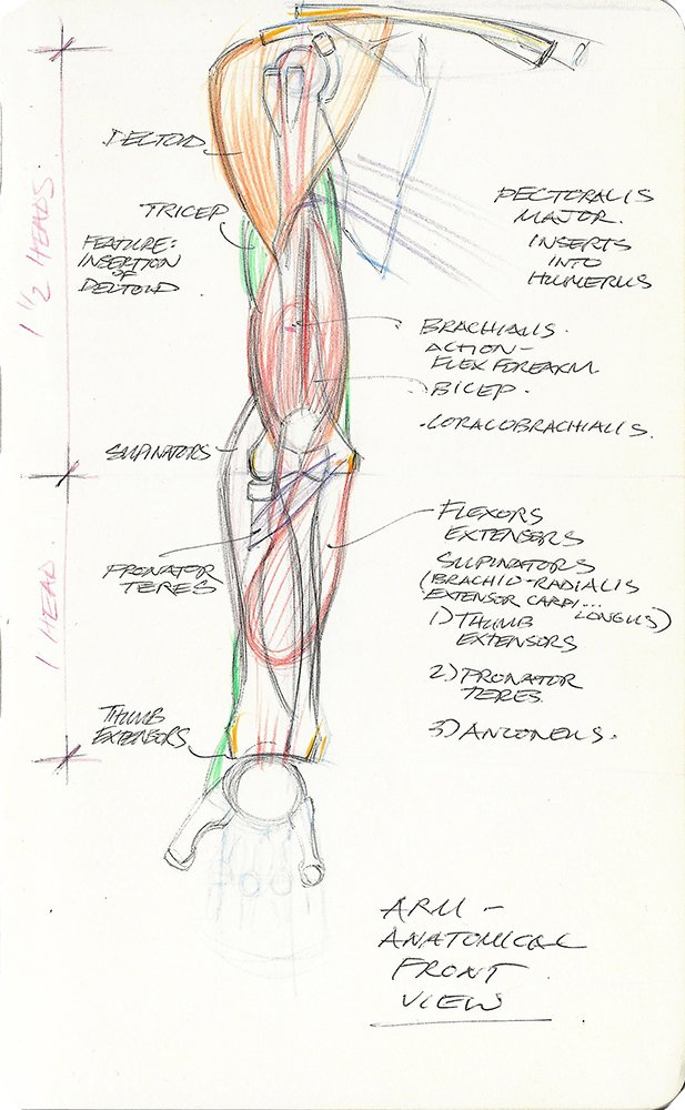 201123benFenskeAnatomy03.jpg