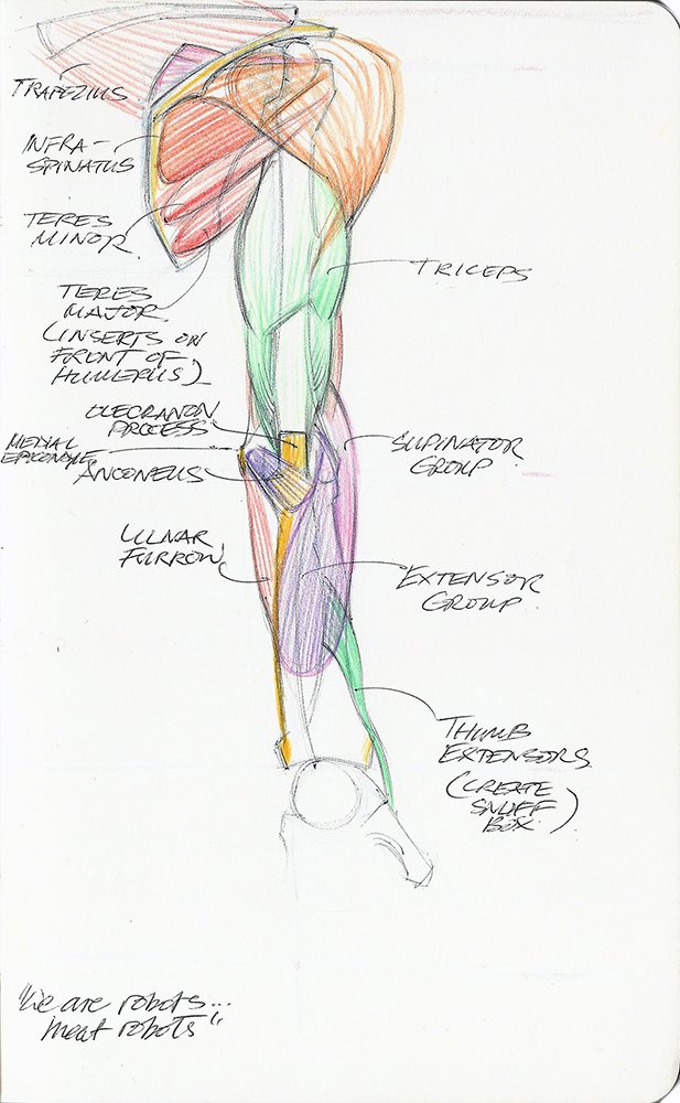 201123benFenskeAnatomy04.jpg