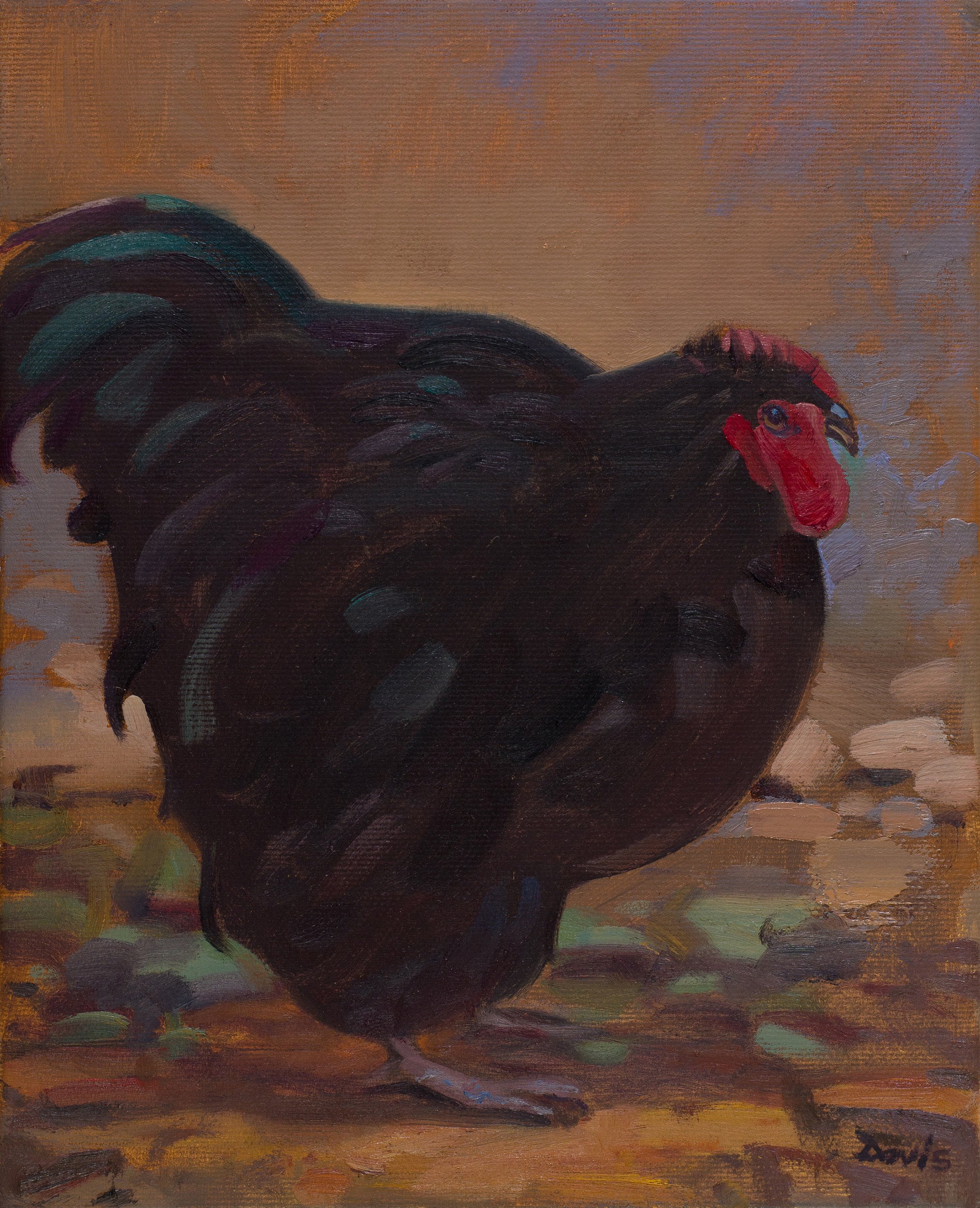 220410galloNero.jpg