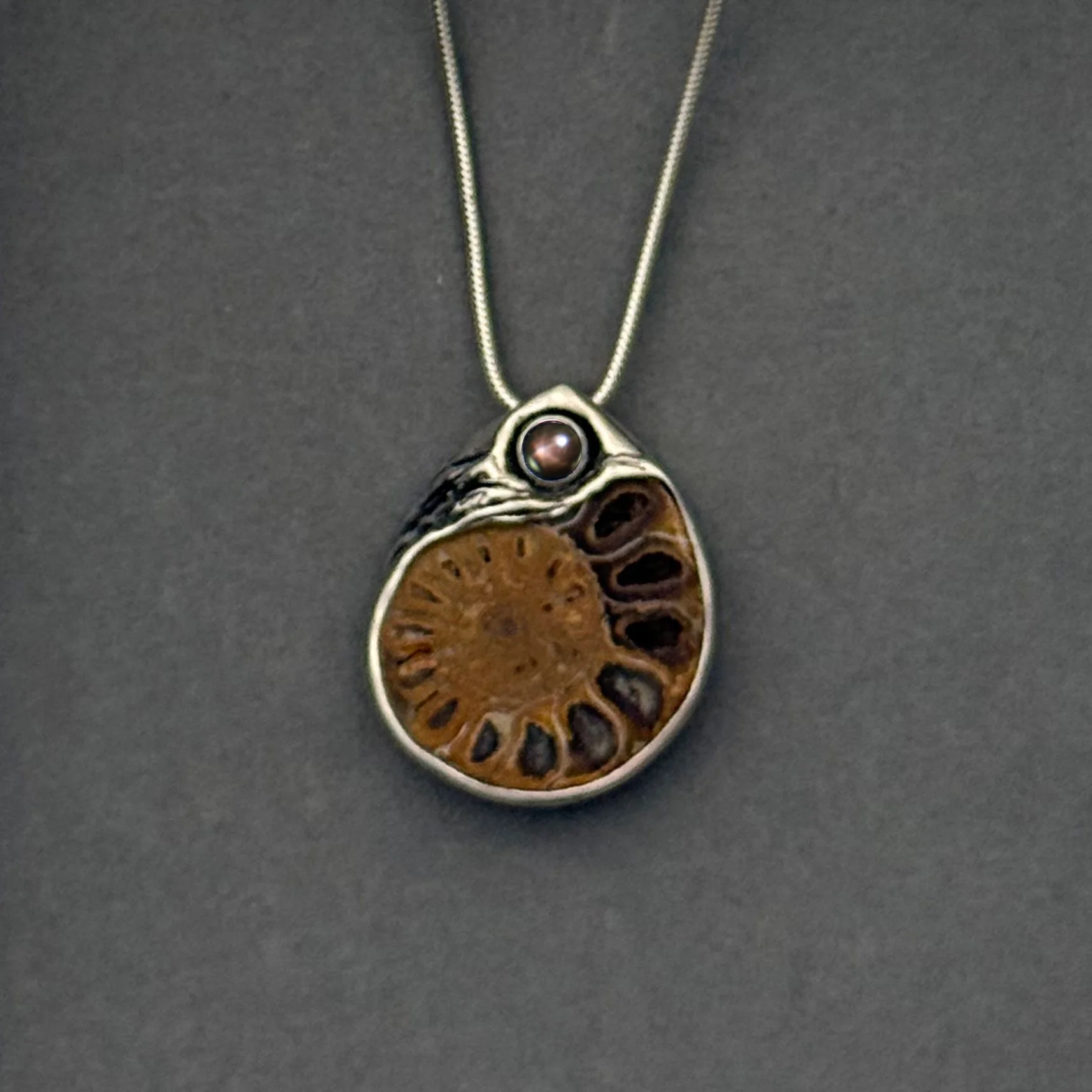 Ammonite and Black Star Sapphire
