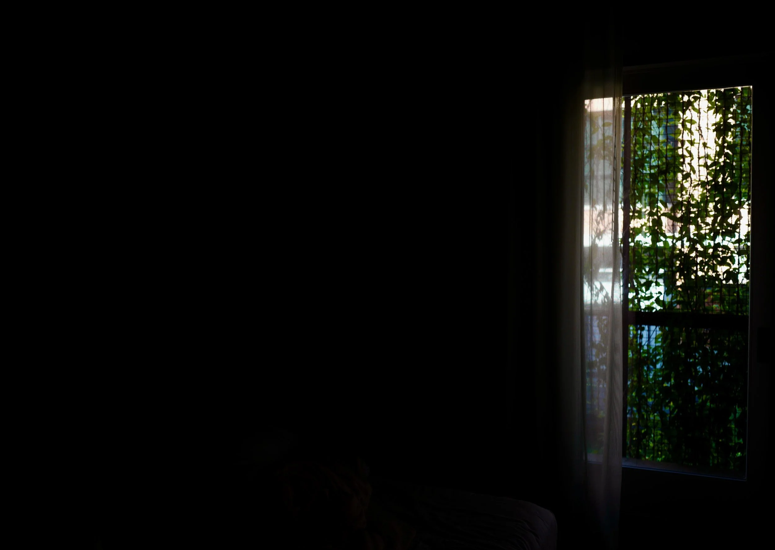 L1030684.jpeg