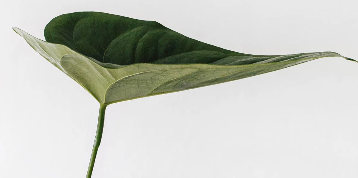 internal-banner-2.jpg