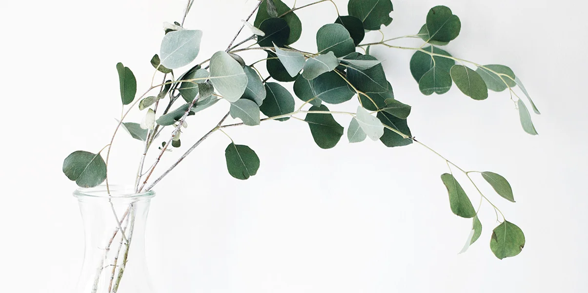 internal-banner-3.jpg