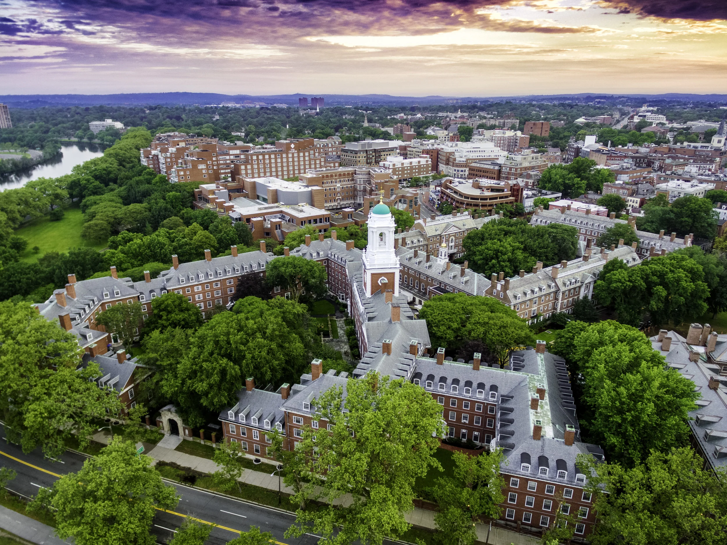 35020449543_c569f72fee_o (1).jpg