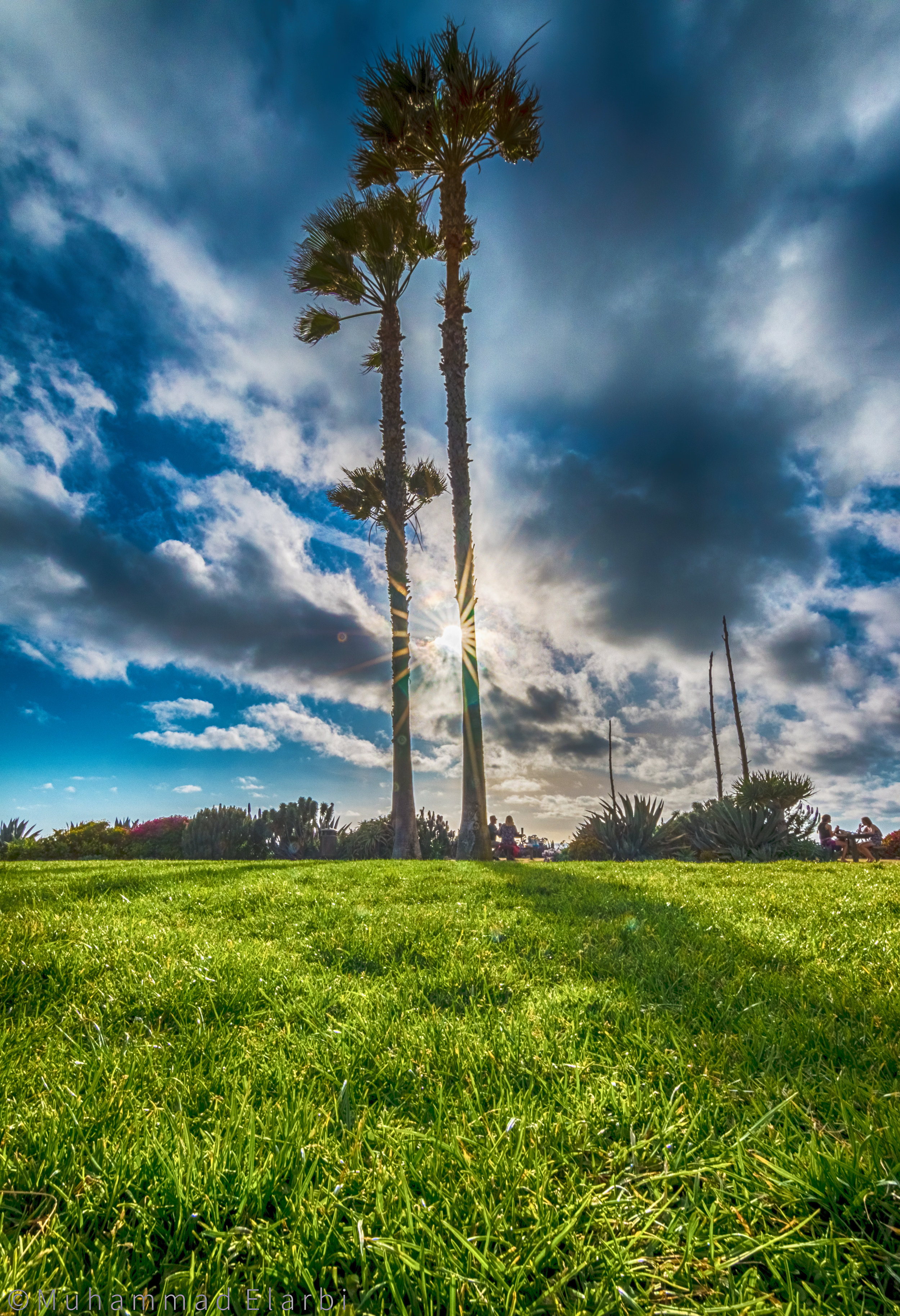 26953974845_8455a644c1_o (1).jpg