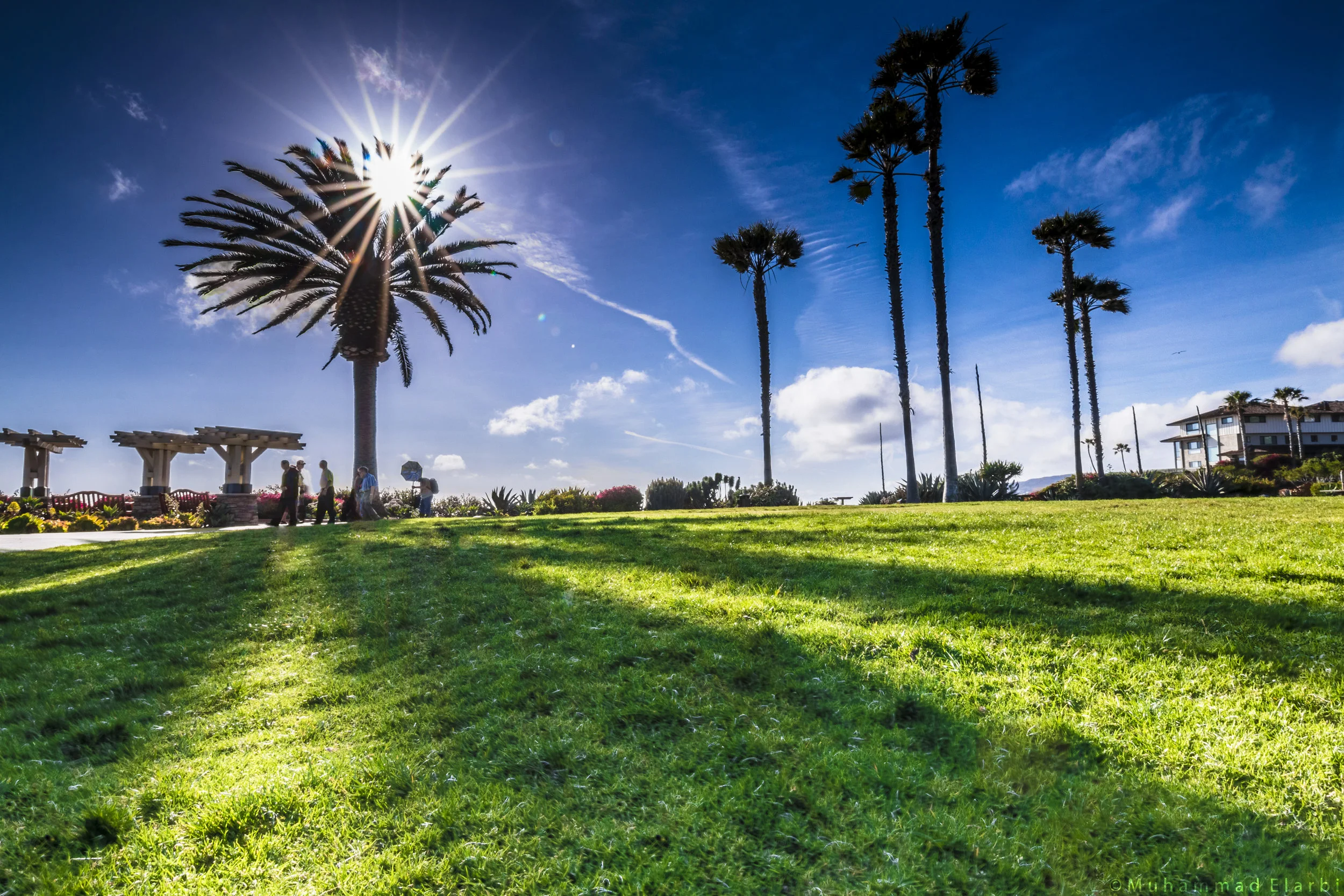 27412956043_d6a9ffc432_o (1).jpg