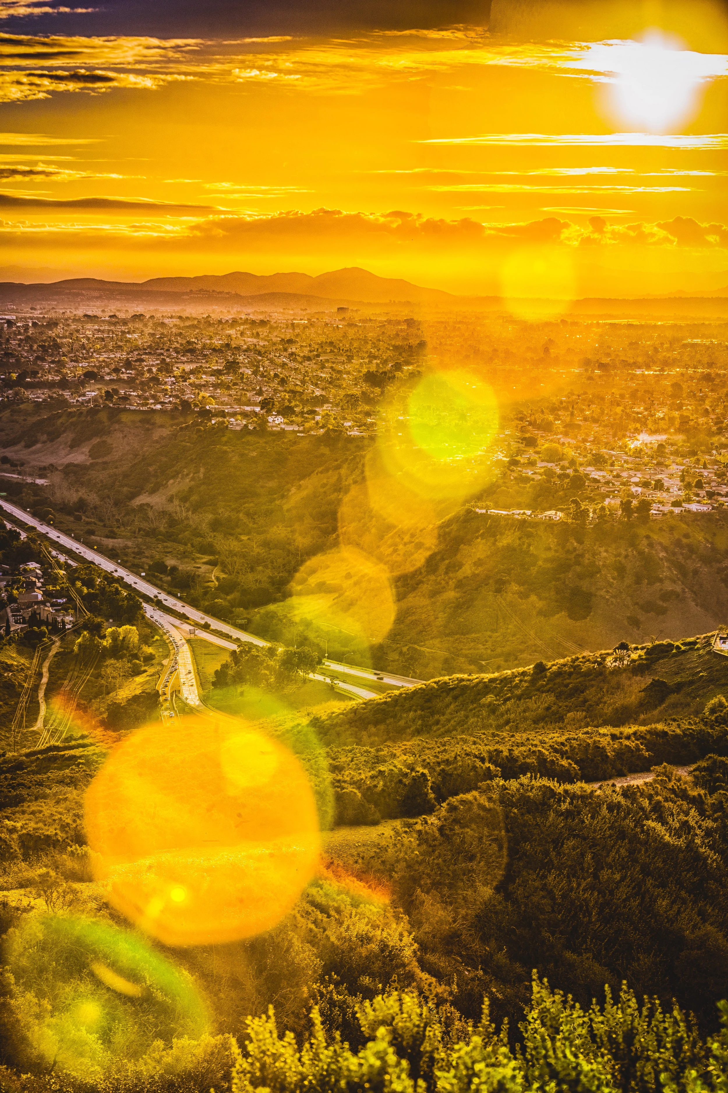 Mt. Soledad City View.jpg