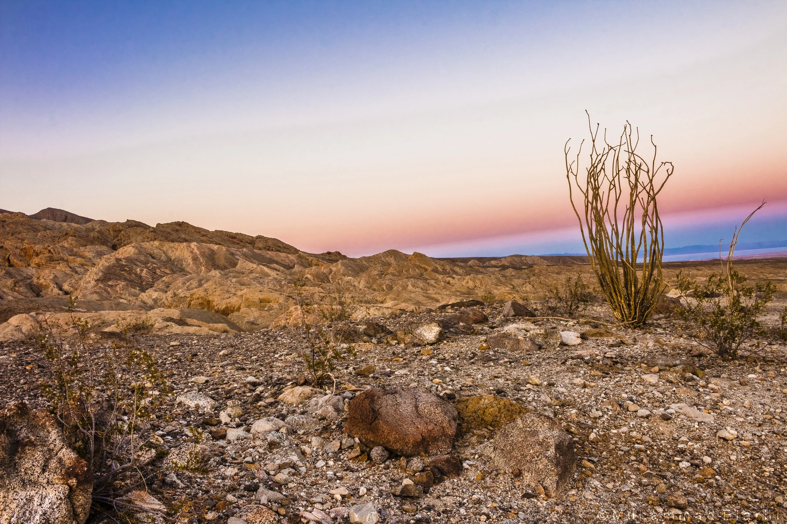 anza-borrego-desert-landscape_27197583741_o_Downsized.jpeg