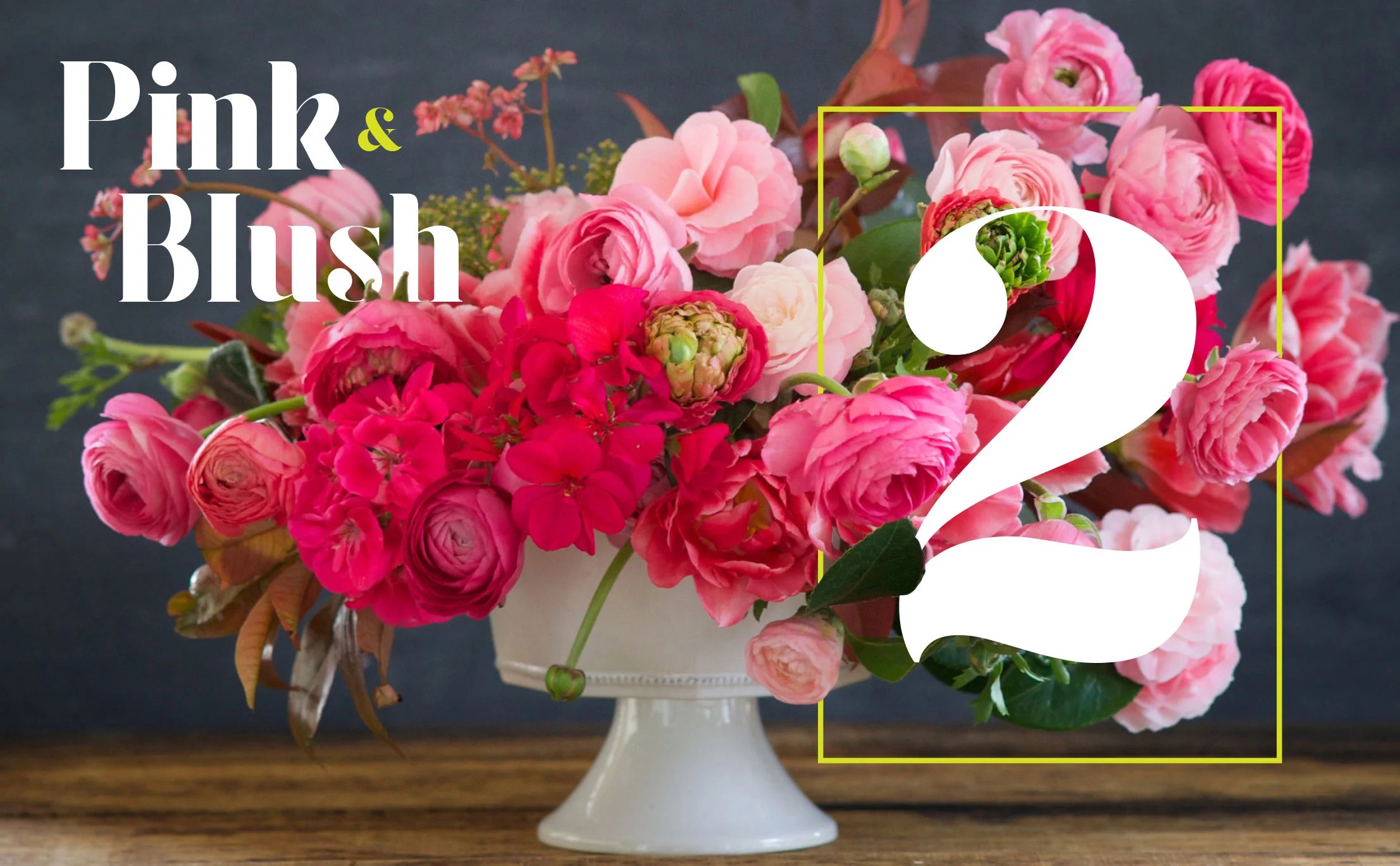 ColorMeFloral_Concepts_r1c-3.jpg
