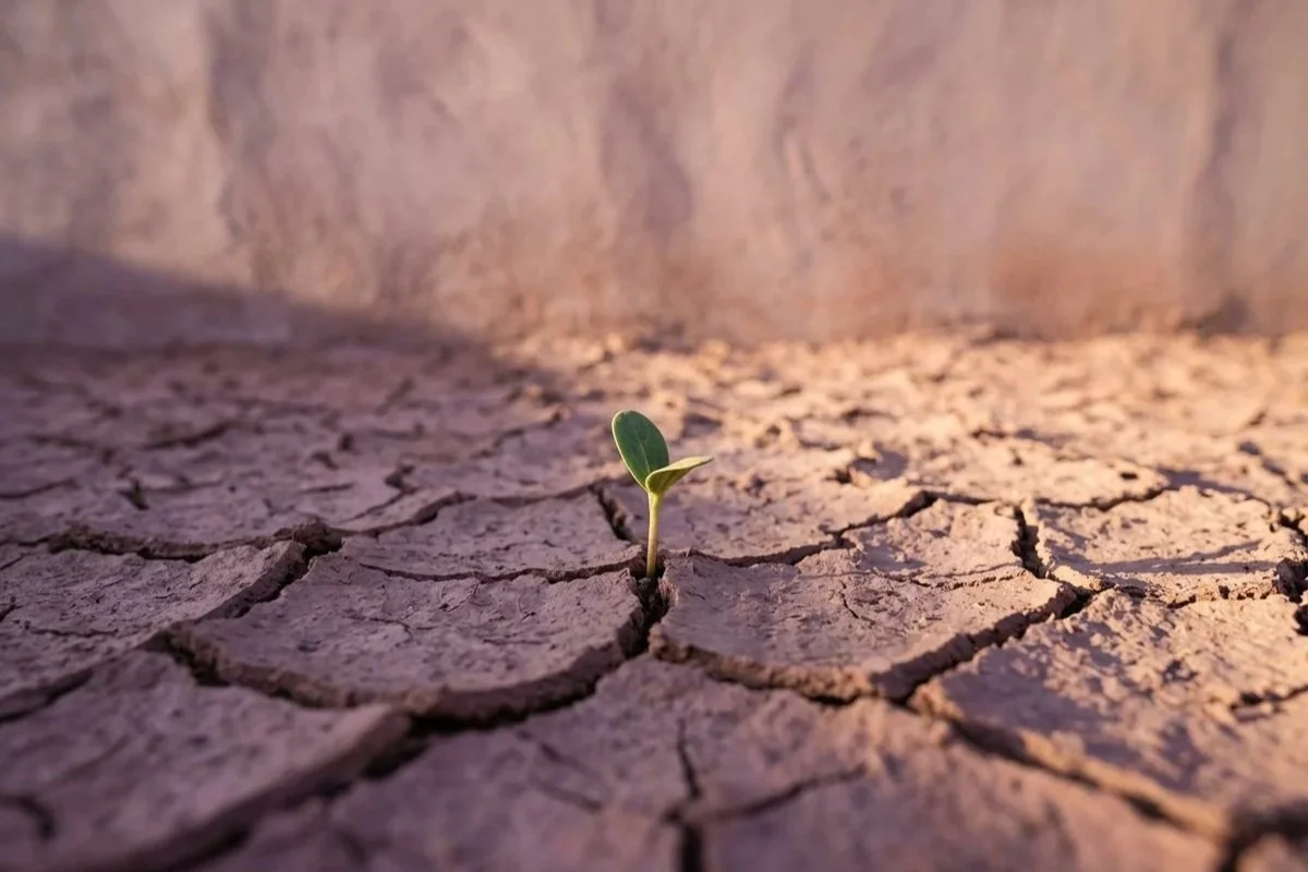 Creating Positive Change