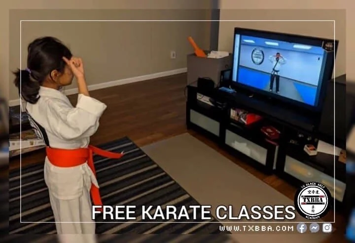 5 Bonuses of Online Training in Martial Arts