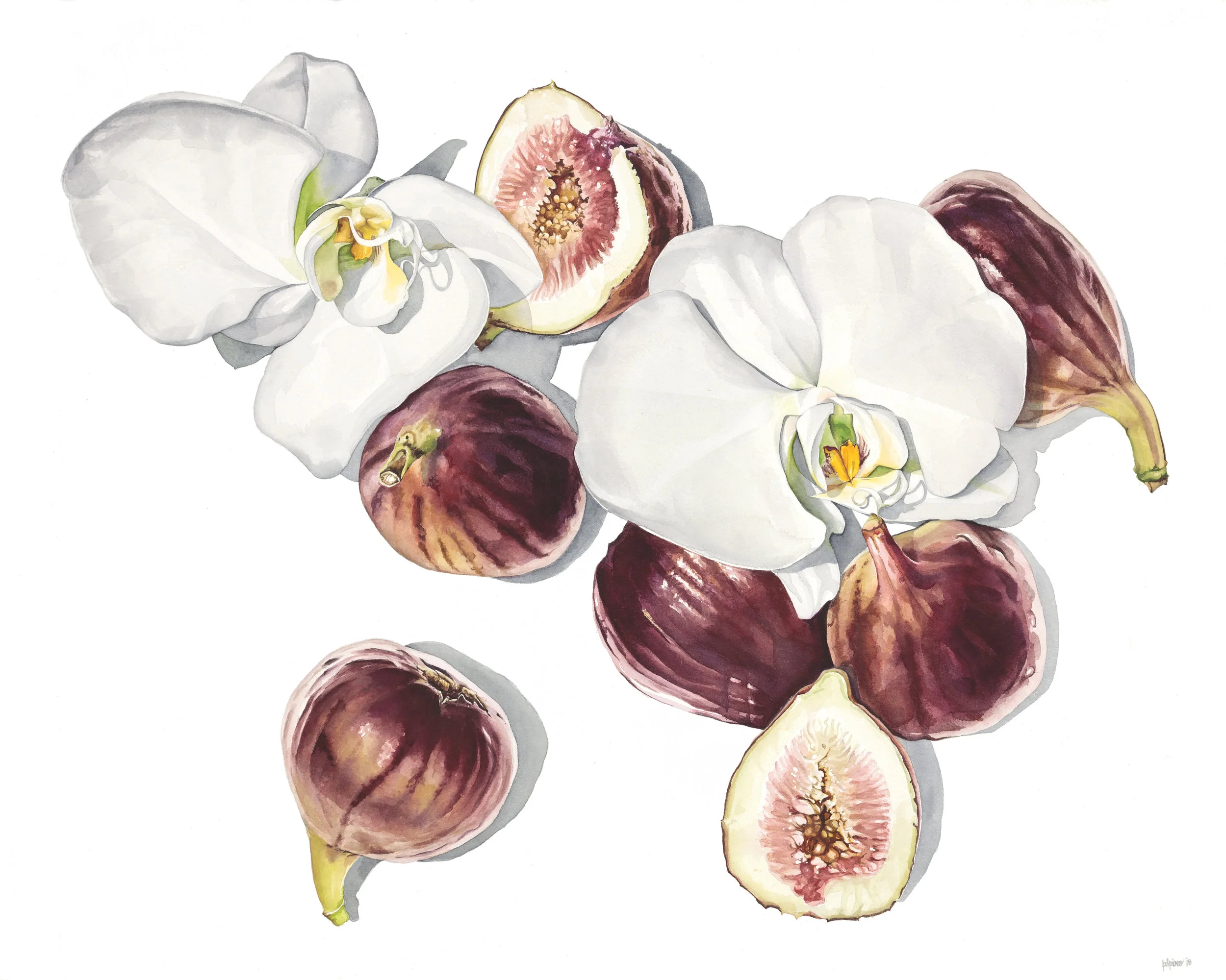 In Bloom