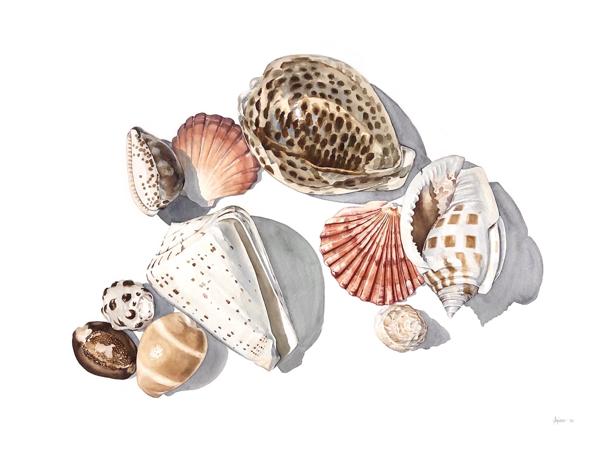 Shell hunting          