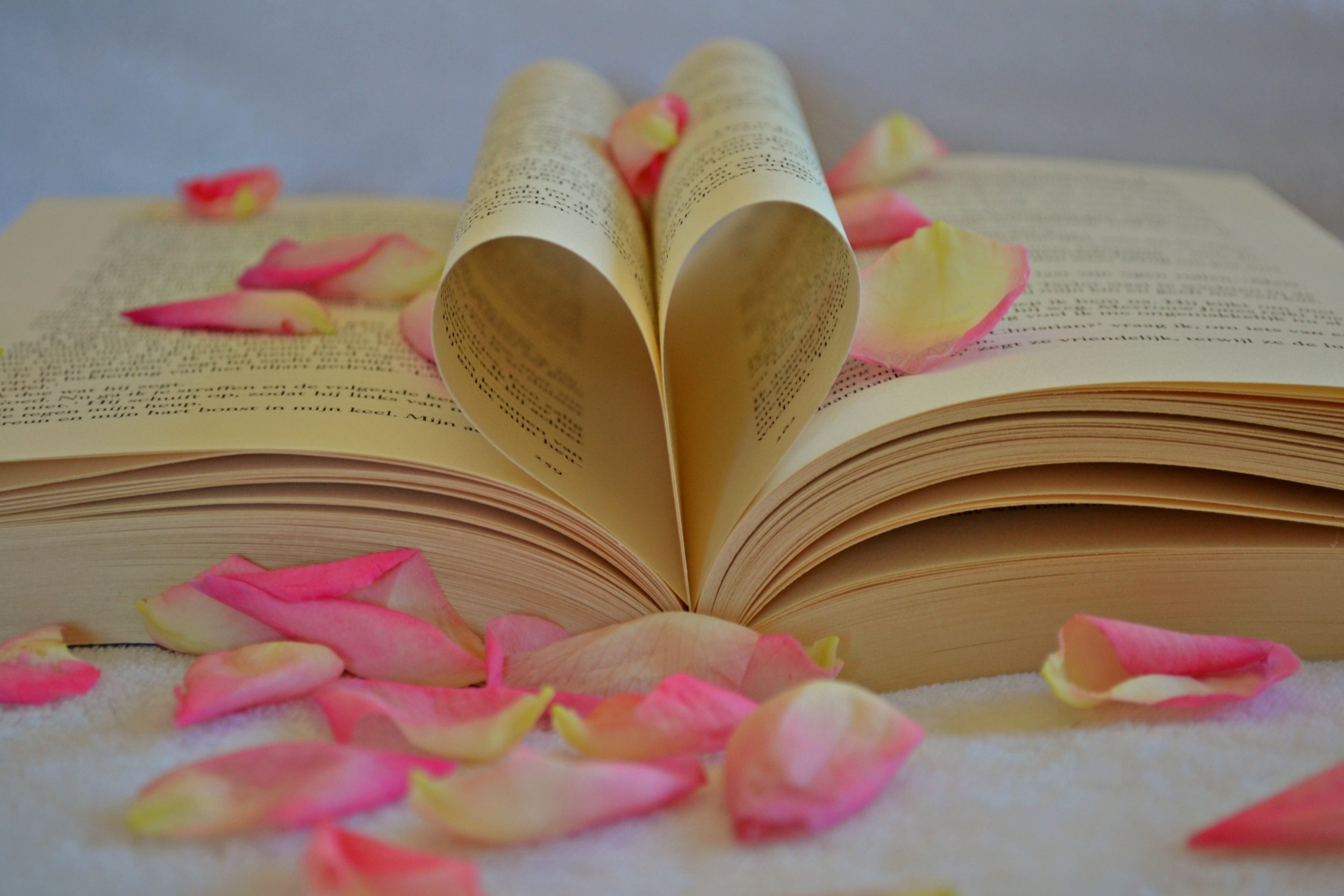 blur-book-close-up-261974.jpg