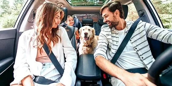 Five Questions to Ask Before Renewing Your Insurance Policy