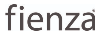 fienza logo.png