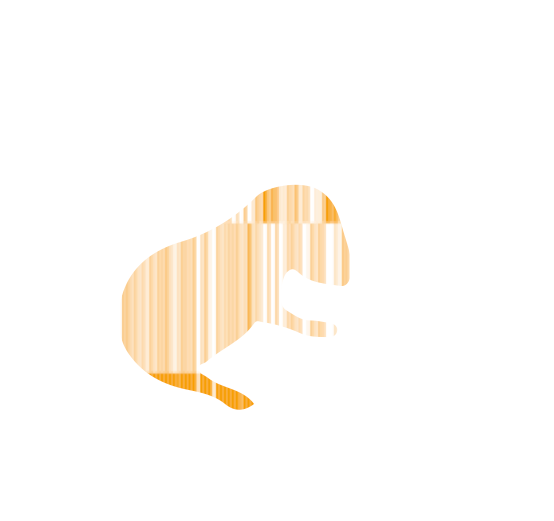 heatmap mice orange.png