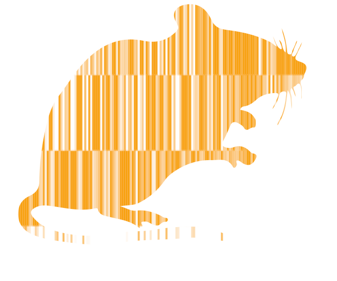 heatmap mice orange.png