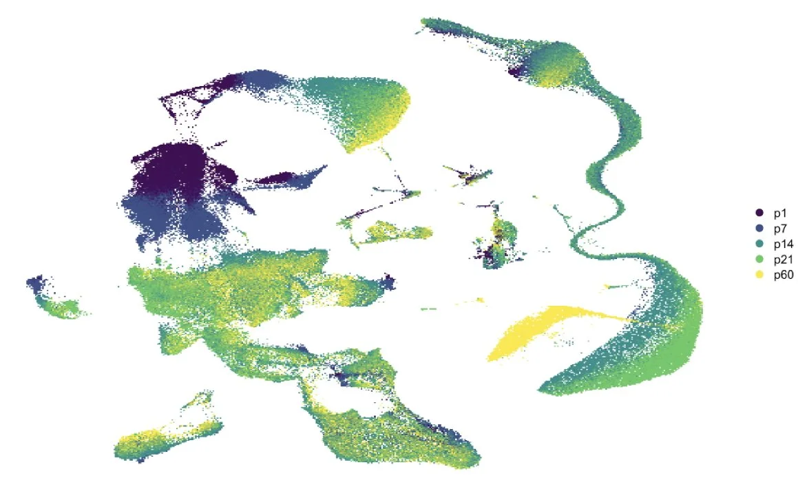 multiomeseq.jpg