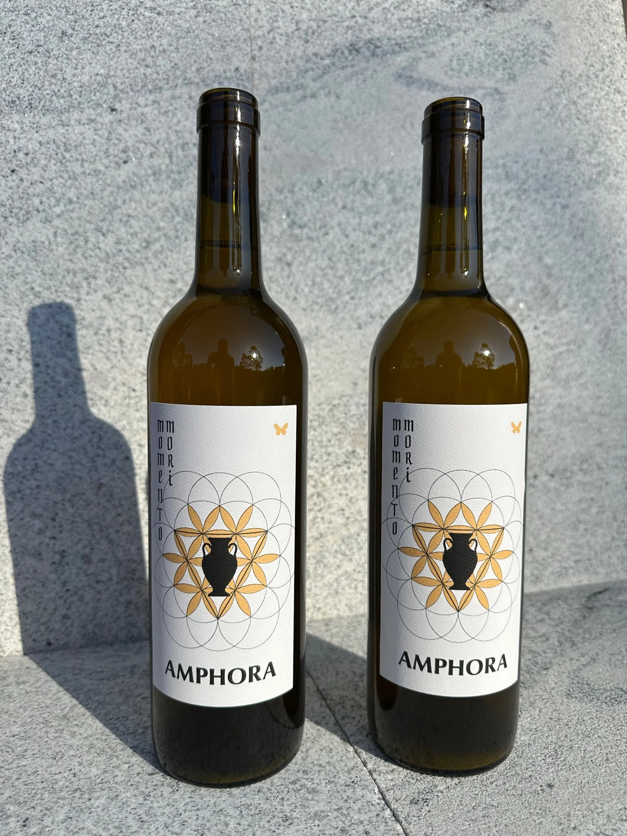 Amphora Grillo 2 pack.jpg