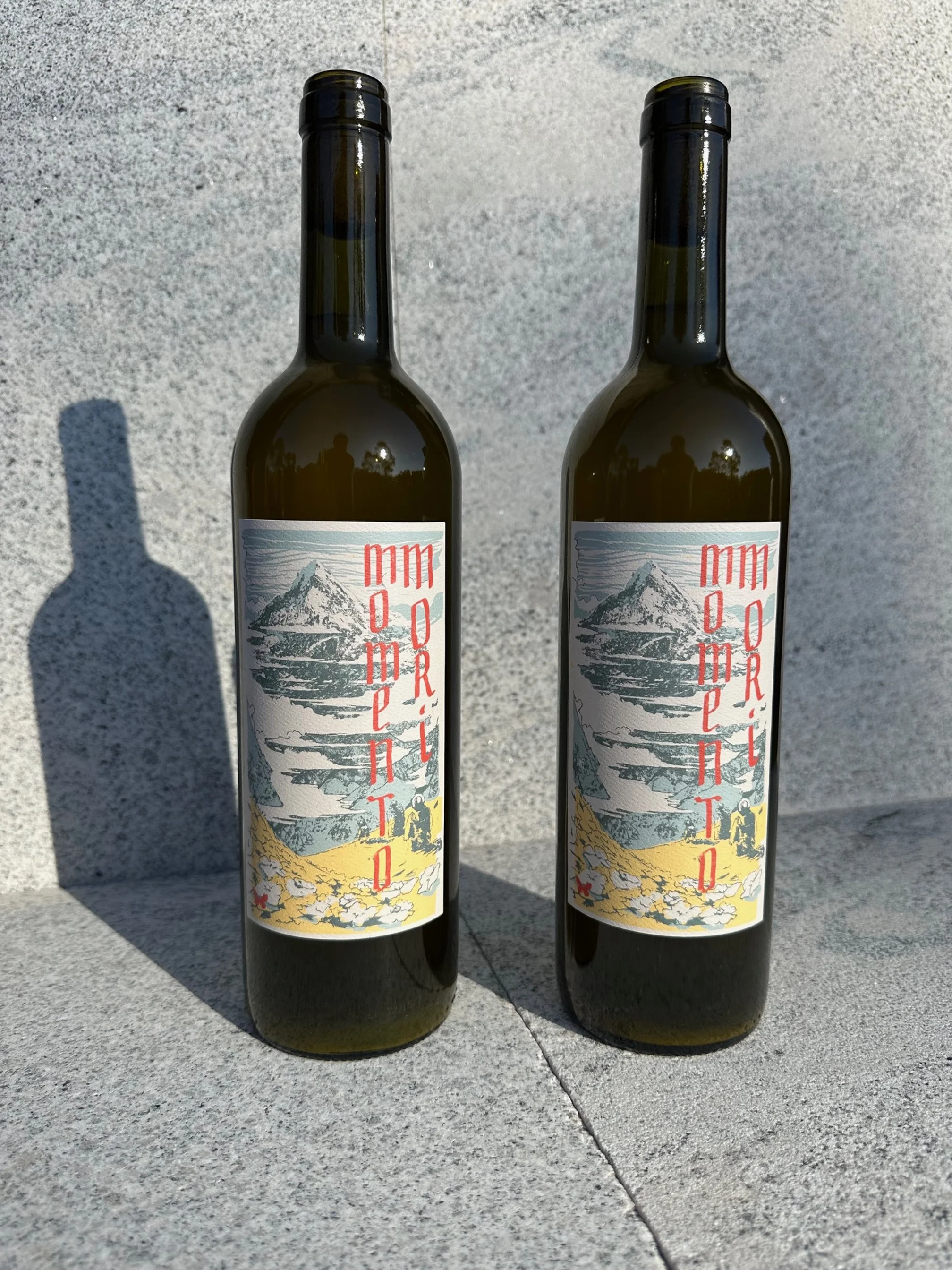 2022 'Staring at the Sun' - 2 Pack