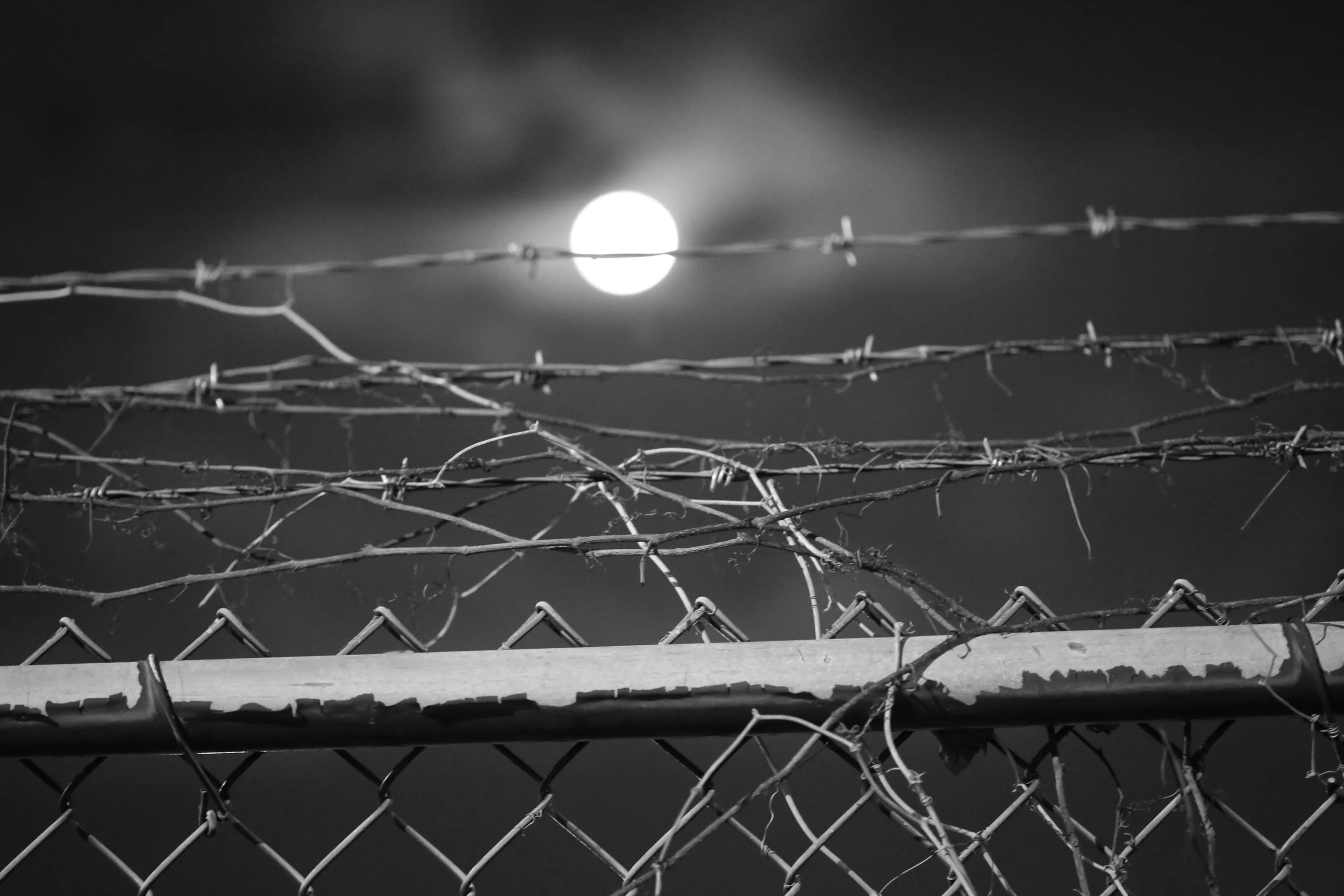 barbed moon.JPG
