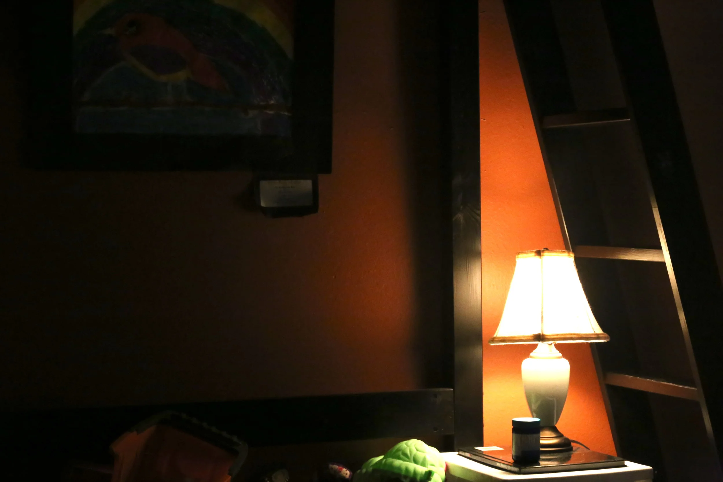 IMG_0057 copy.JPG