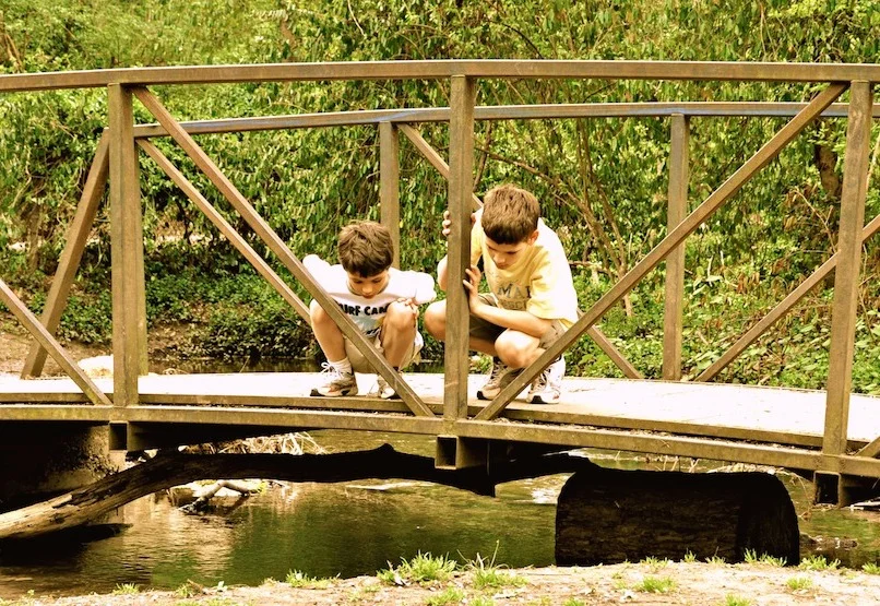 Want happier, calmer kids? Simplify their world — Green Child