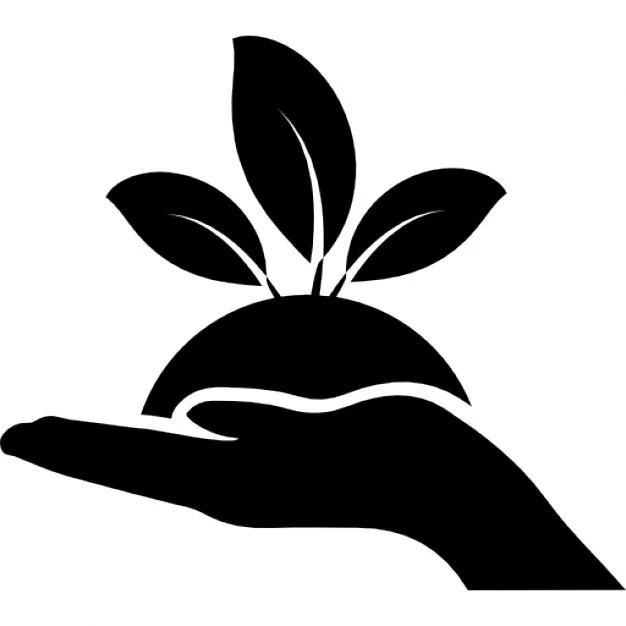 hojas-de-la-planta-en-una-mano_318-41682.jpg