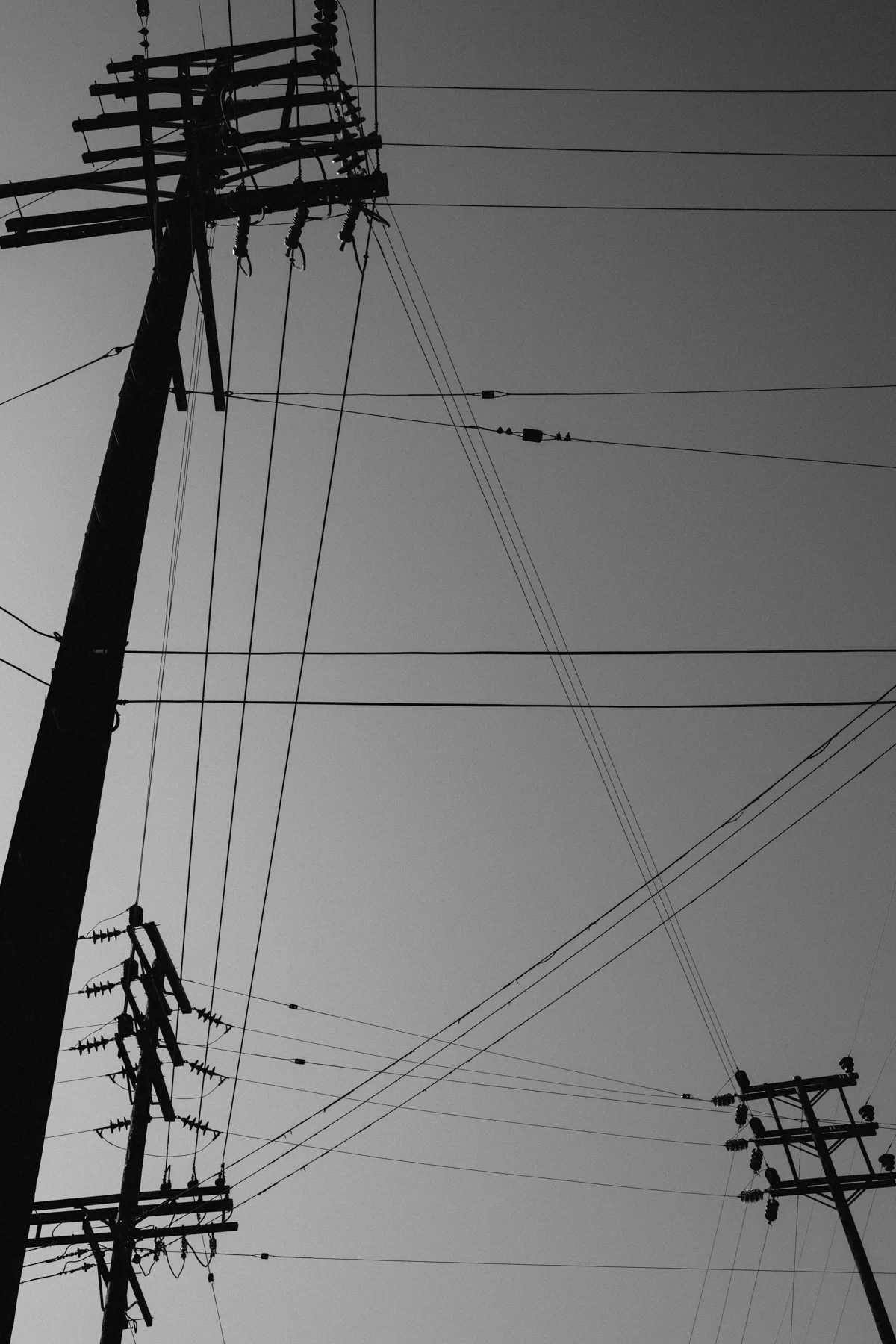 DSCF9756.jpg