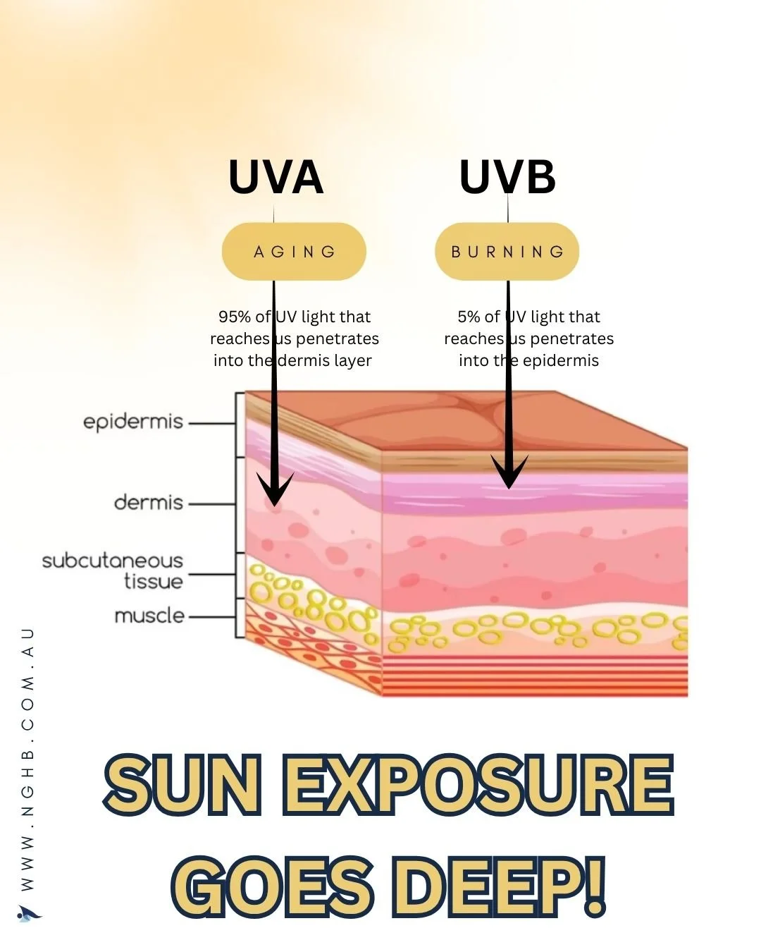 ☀️ Sun damage goes deeper than you think&hellip;

Those golden rays might feel good &mdash; but they&rsquo;re not all created equal.
🌞 UVB burns the surface of your skin (the epidermis) &mdash; think sunburns, redness, and peeling.
🌤️ UVA penetrate