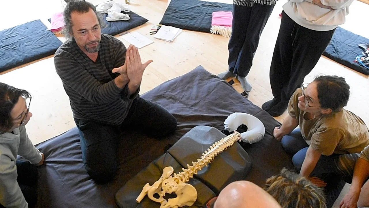 Groupe de personnes lors d'une séance de formation sur le dos, avec un modèle de squelette de colonne vertébrale.
